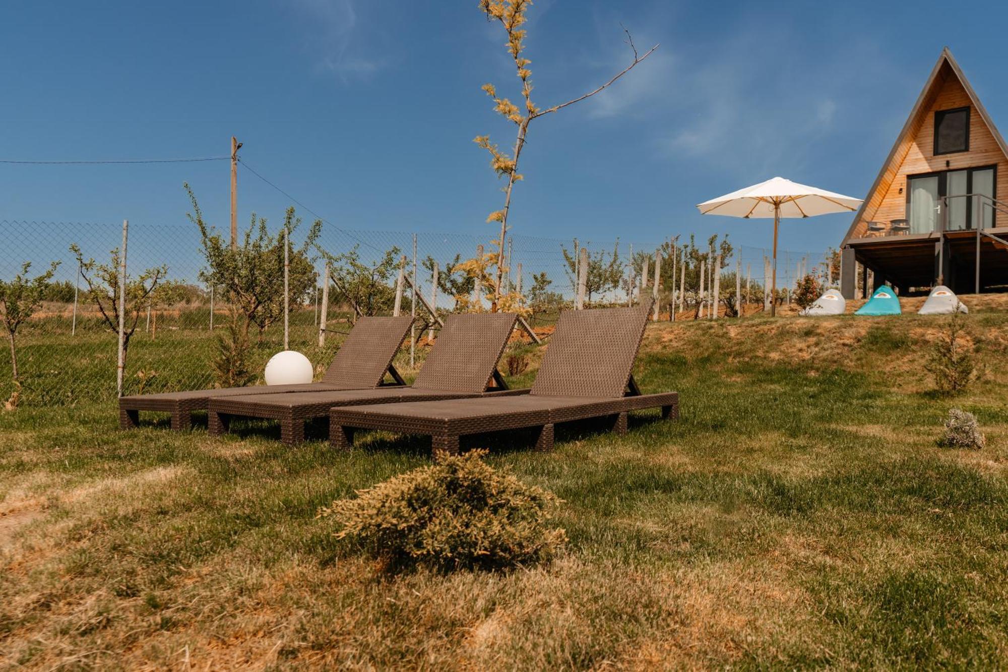 Cavo Village- Cabins Rental Baile 1 Mai Rontau Dış mekan fotoğraf